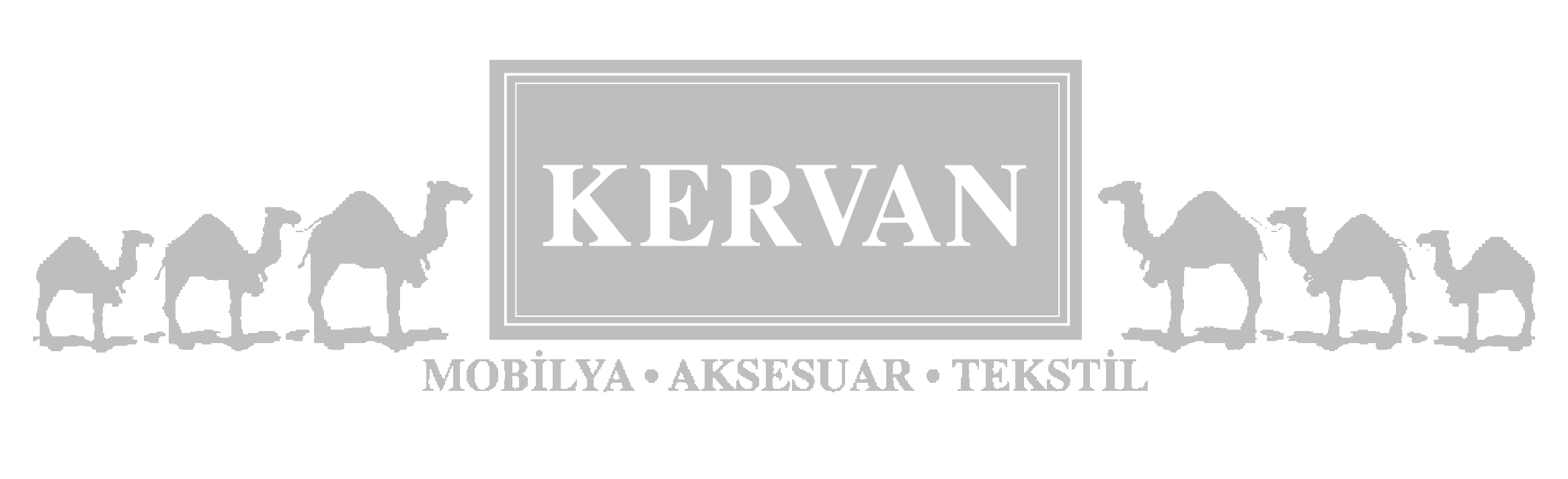 vera-tc-kervan-referans
