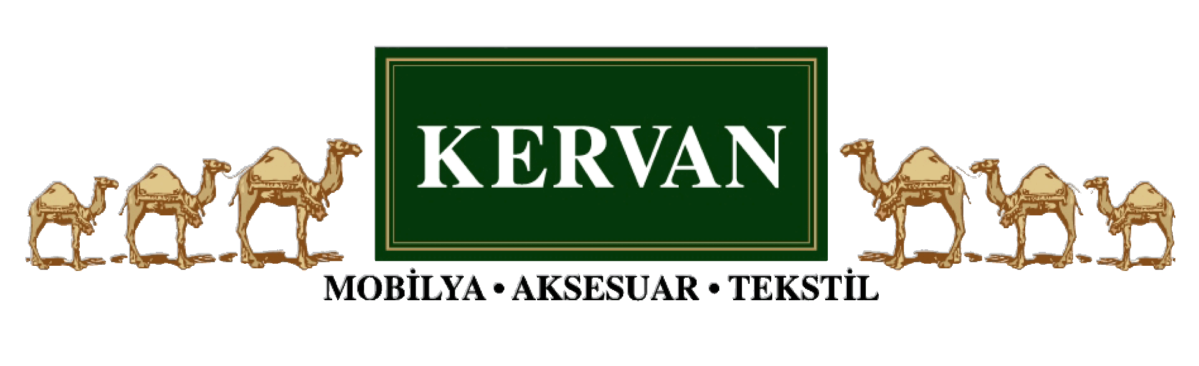 vera-tc-kervan-referans